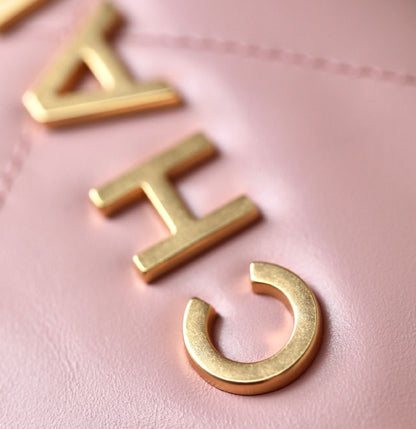 2025 Bag Classic Hobo Bag W61